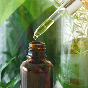 หลักสูตร : การควบคุมคุณภาพผลิตภัณฑ์สมุนไพร Quality Control of Herbal Products